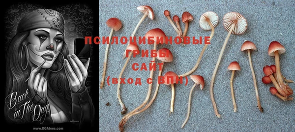 МДПВ Михайлов