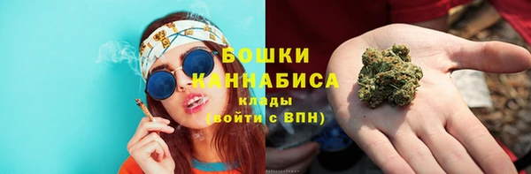 МДПВ Михайлов