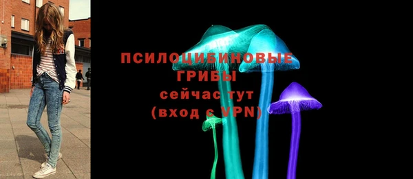 MDMA Медногорск