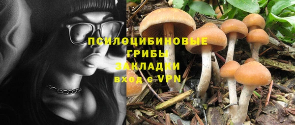 МДПВ Михайлов