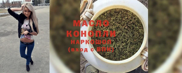 МДПВ Михайлов