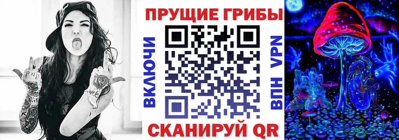 наркошоп  Стрежевой  Галлюциногенные грибы мицелий 